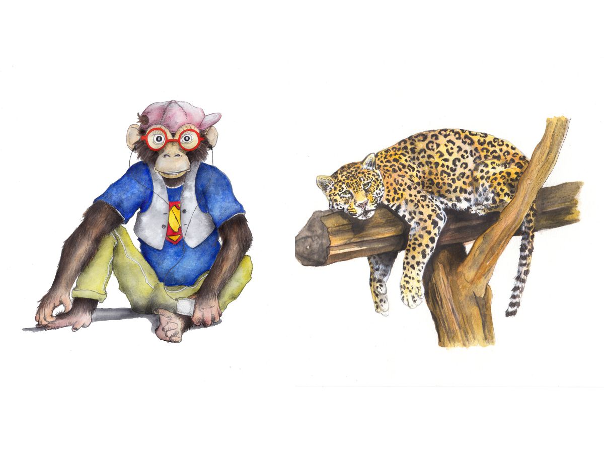 chimp wearing a cap. animal using ipod, sleepy leopard
