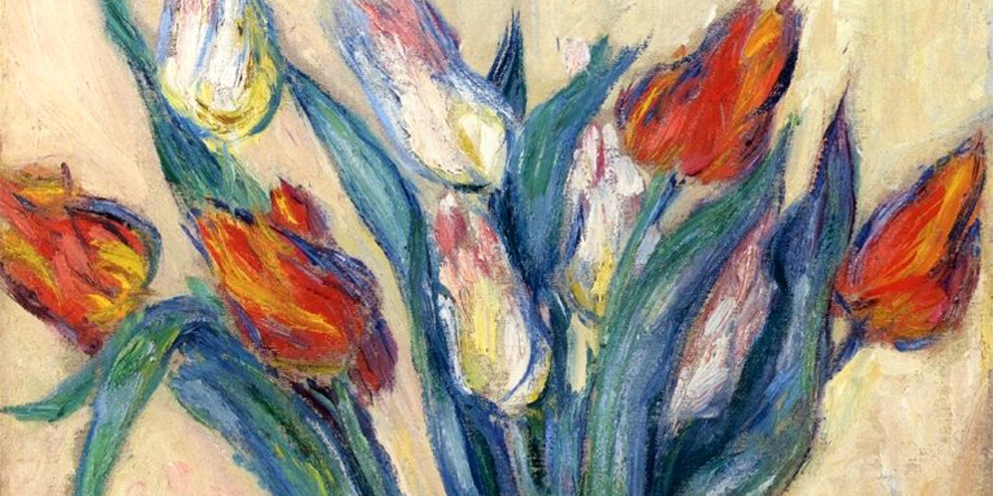 tulips in a vase